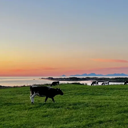 Alpesi faház Sandsbu - Lofoten