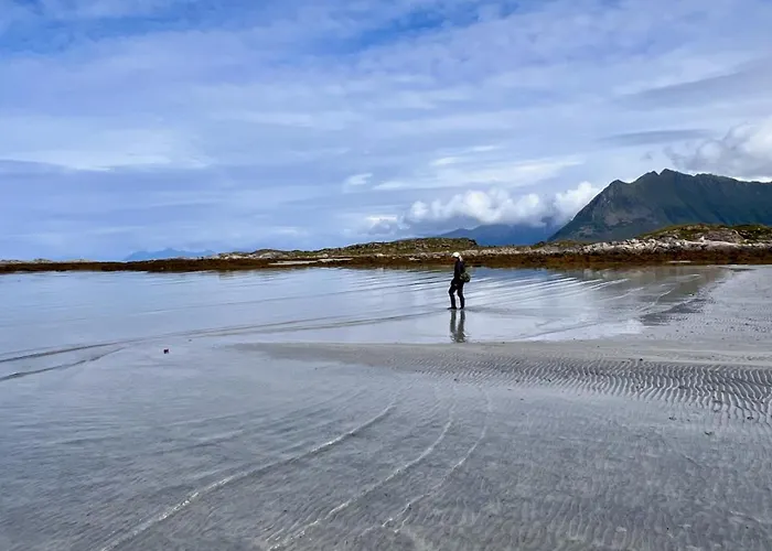 Chalet Sandsbu - Lofoten Gimsoy
