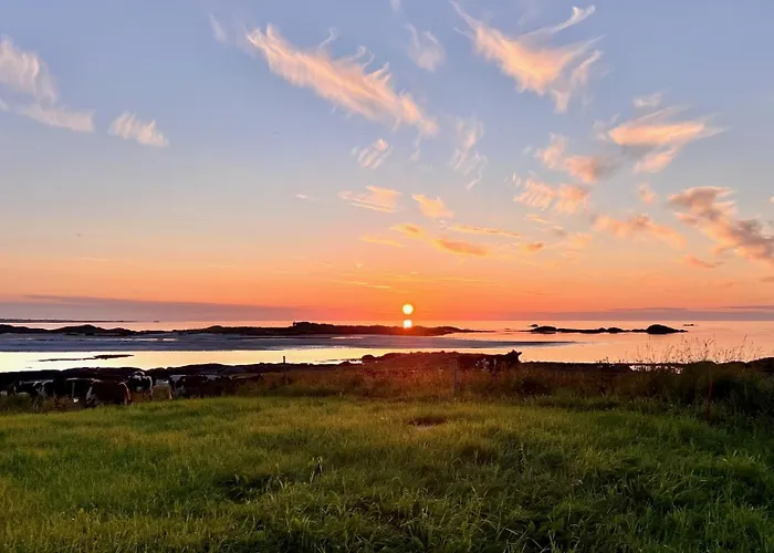Sandsbu - Lofoten