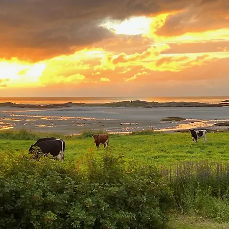 Chalet Sandsbu - Lofoten *